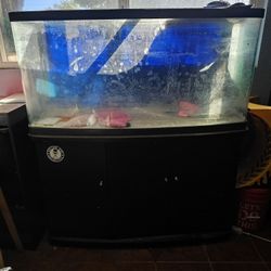 Fish Tank 75 Gal
