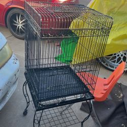 Bird Cage 