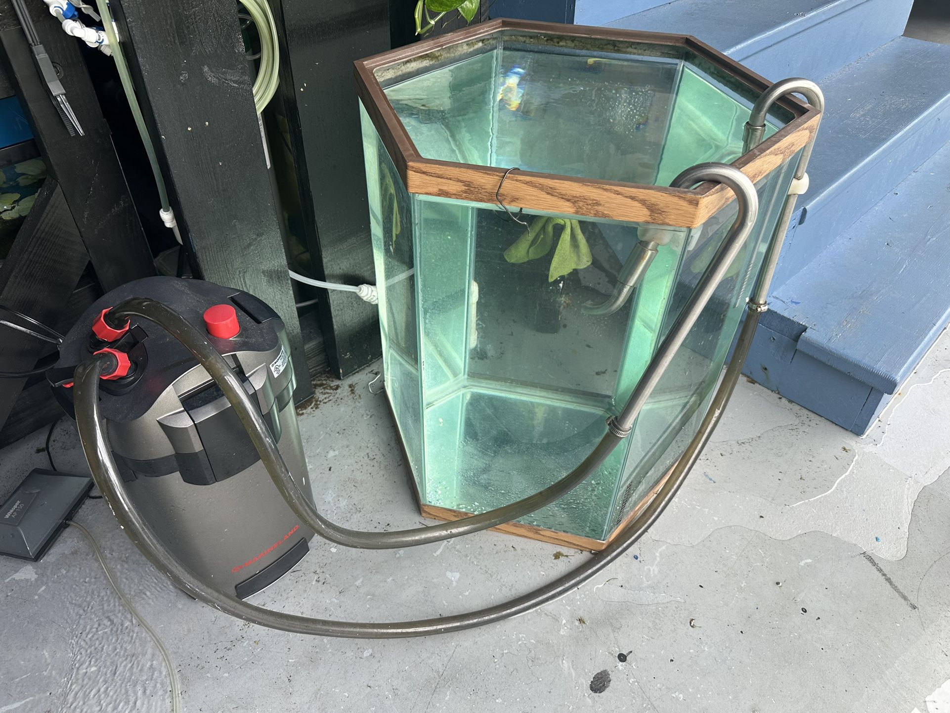 tanks 40 gallon and filter $100