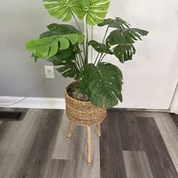 Plant Stand