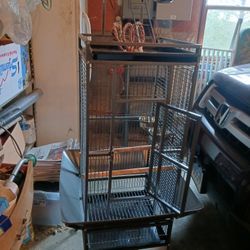 New Bird Cage