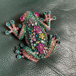 Large colorful frog toad Brooch