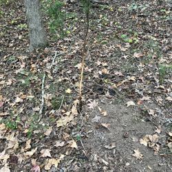 Free Dirt See Last Pic 