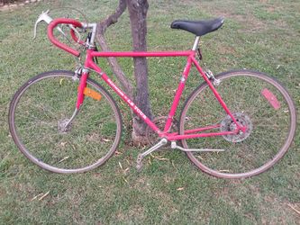 Vintage Schwinn Racing Bike