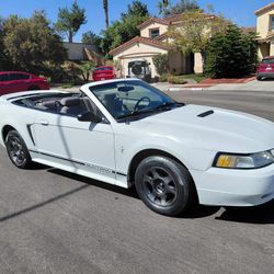 2000 Ford Mustang