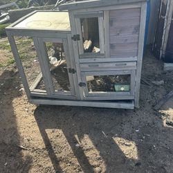 Chicken Cages  $70