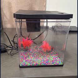 3 Gallon Fish Tank 