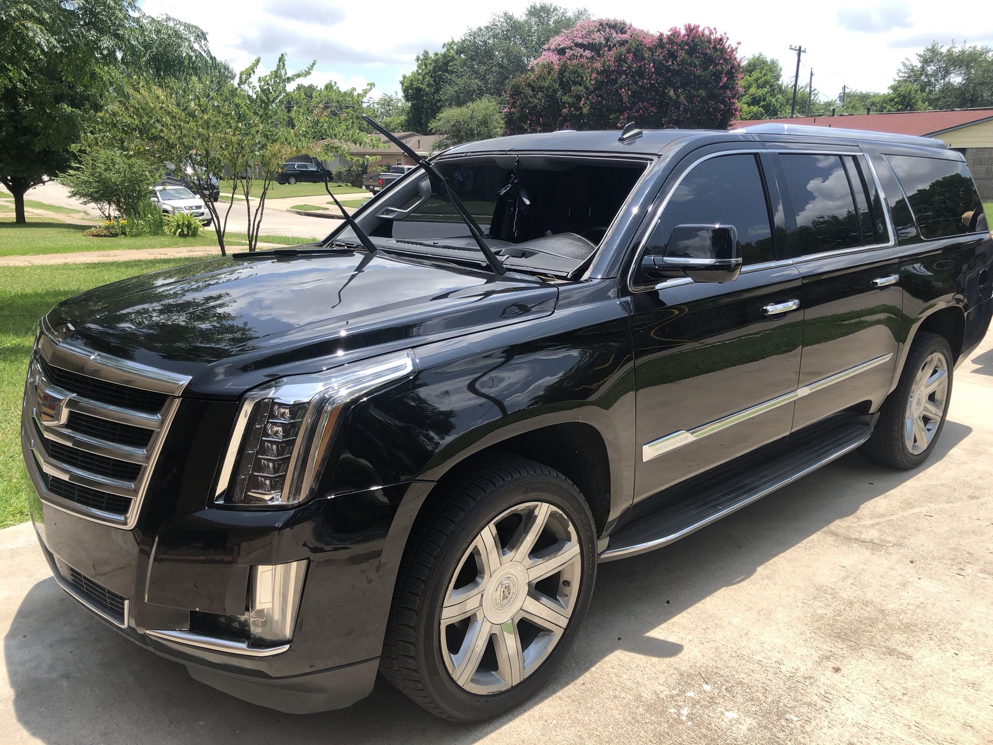 Auto Glass