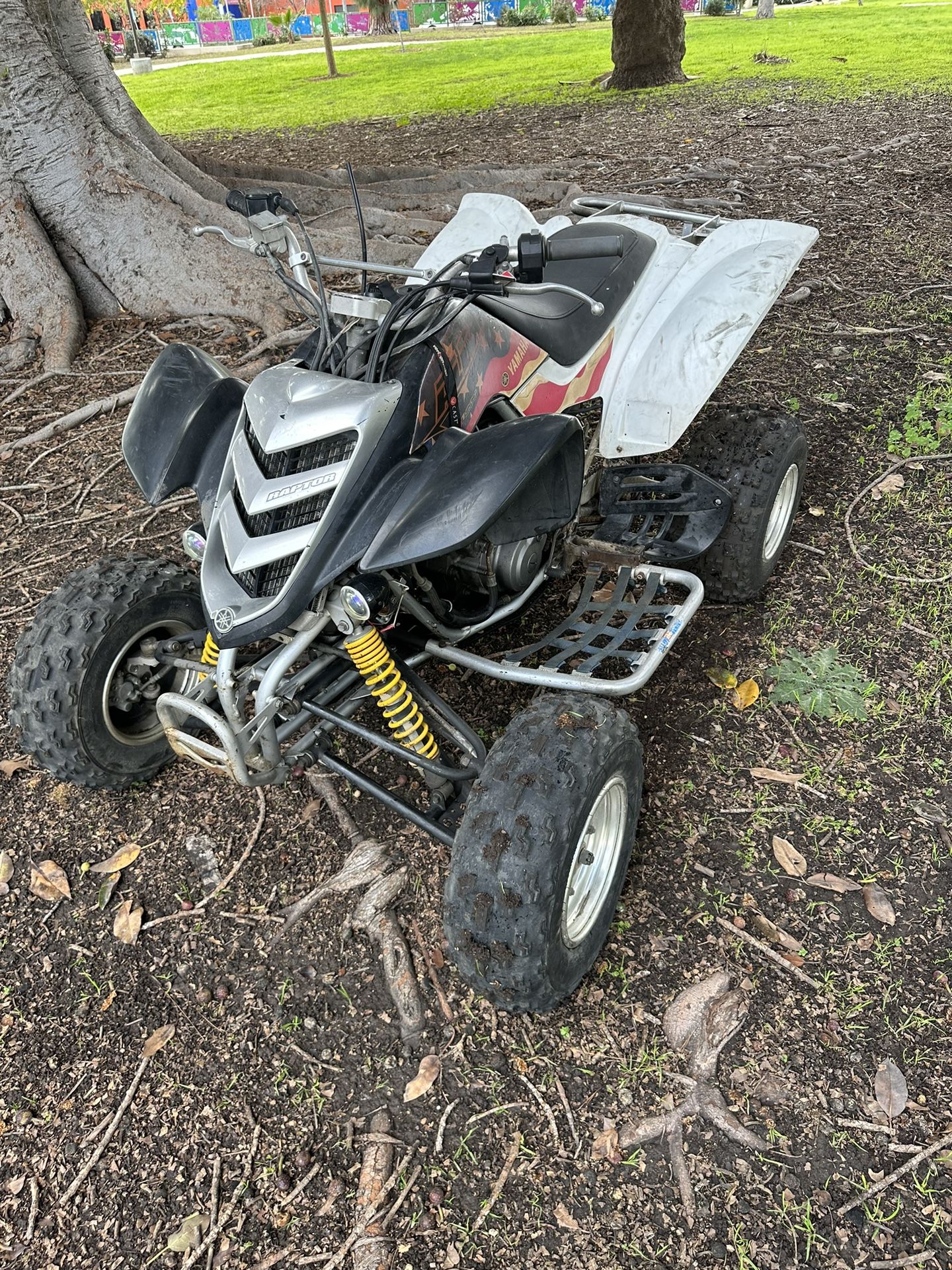 Yamaha Raptor 660cc