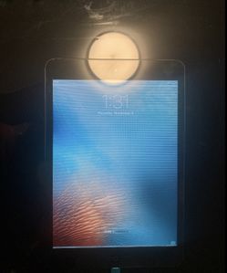 iPad mini needs a new LCD screen