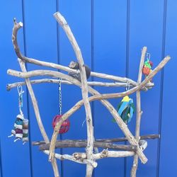 African Grey. - Amazon Parrot Perch Tree … Breeder Direct Low Price … Primo AAA+ Quality ! 👍🏼💯💯