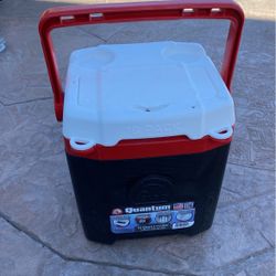Quantum 12 Quart Cooler 