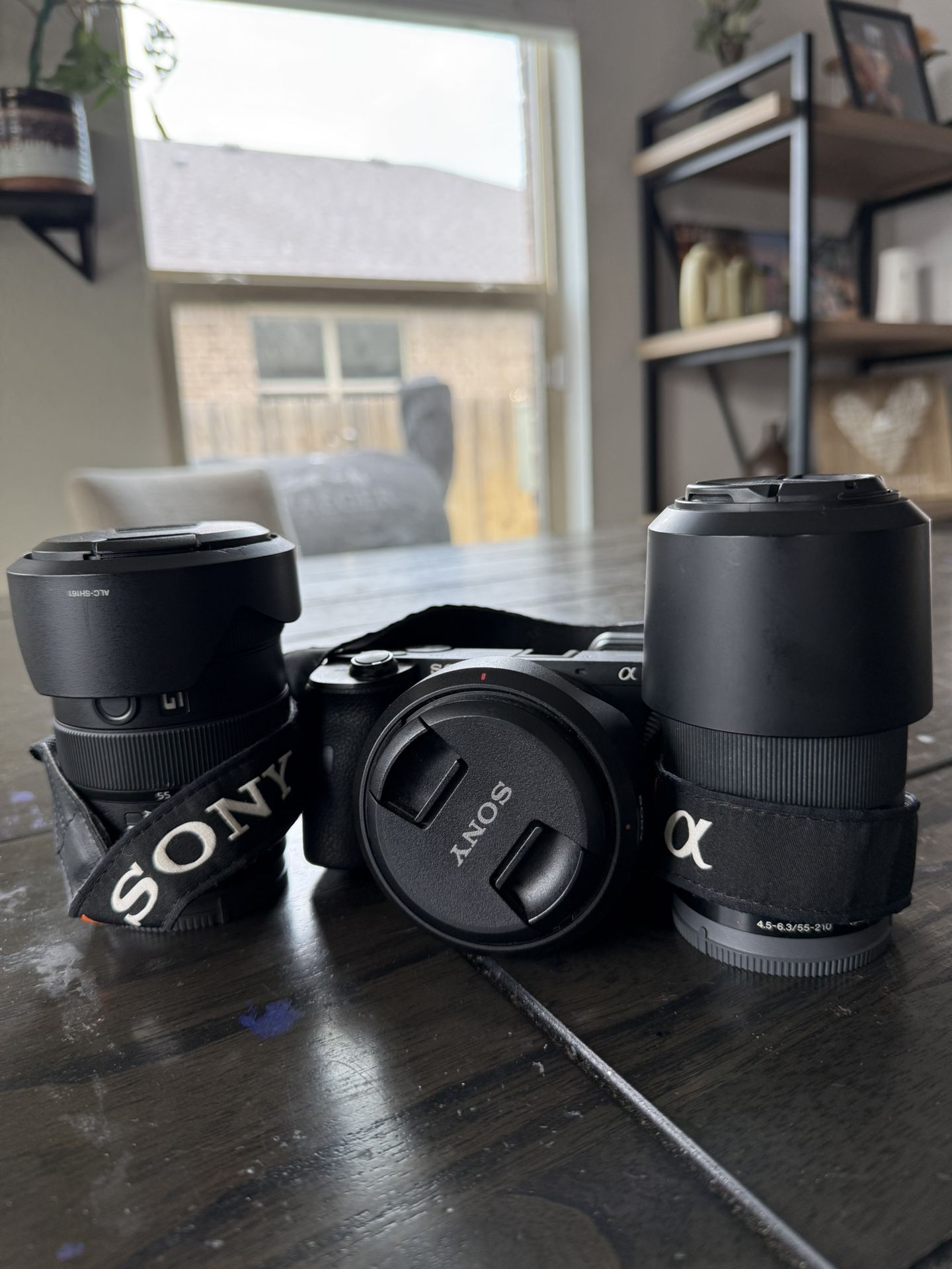 Sony A6600 and Lenses