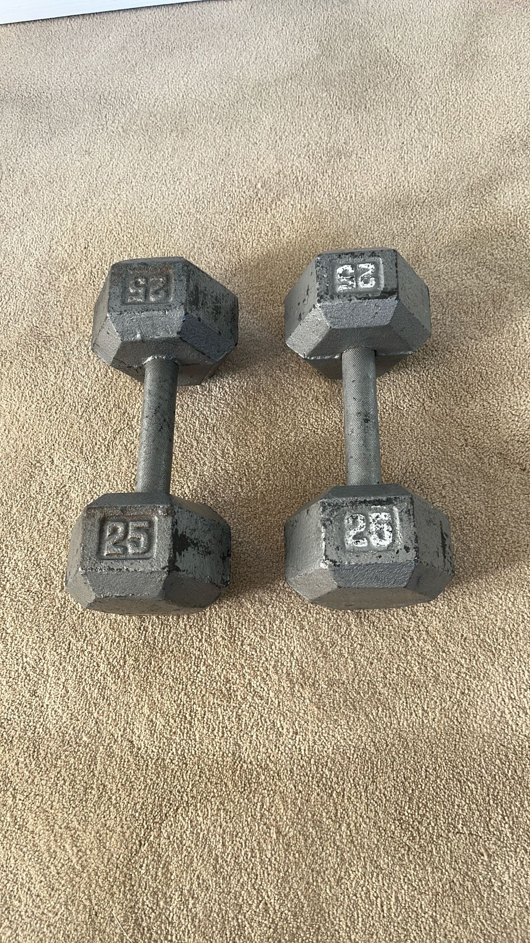 25lb Dumbbells 