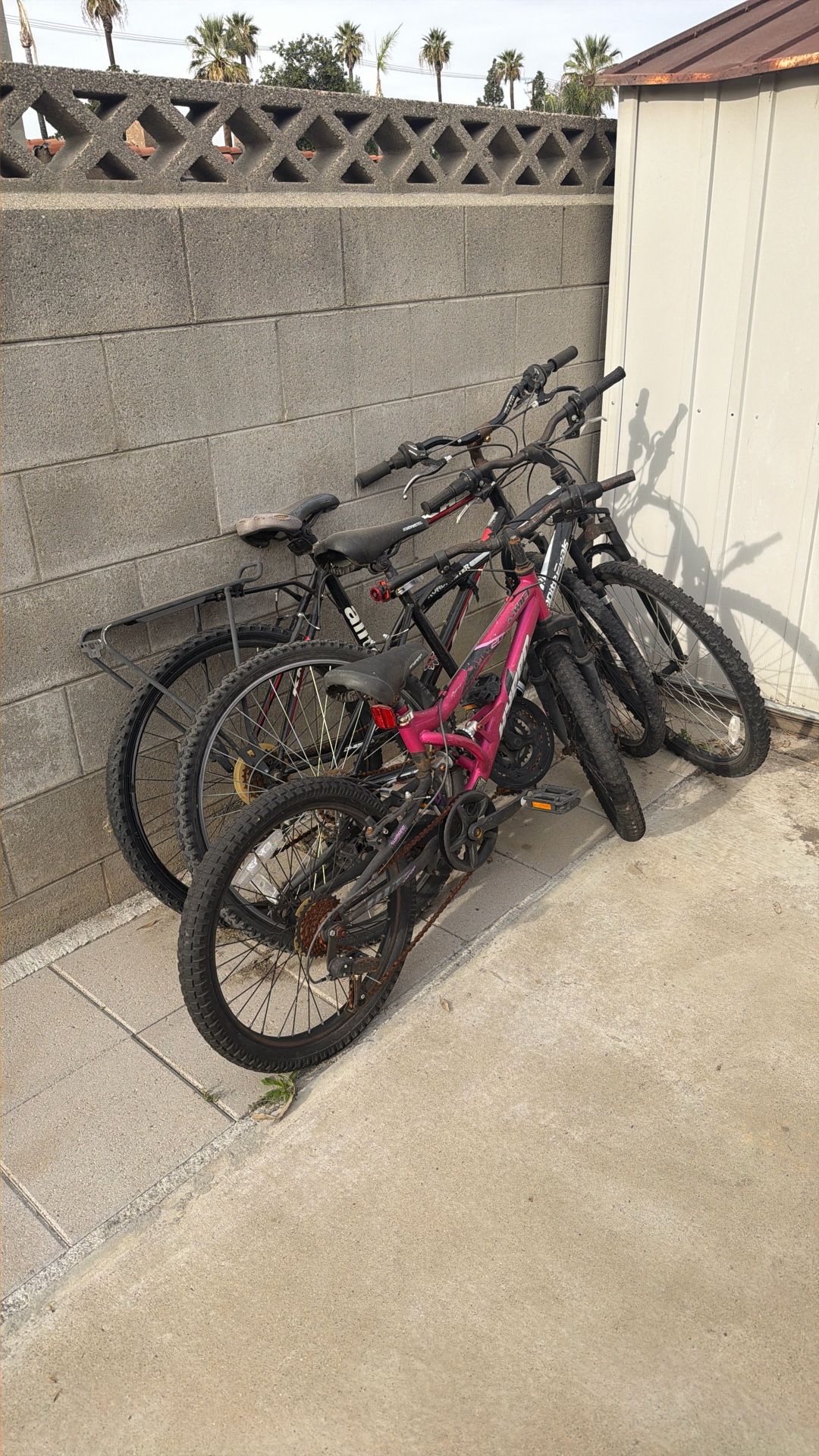 All Three Bikes