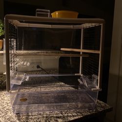 Bird Cage 
