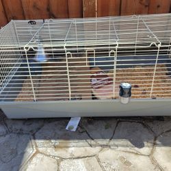 Cage For Sale