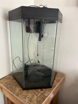 Hexagon Aquarium