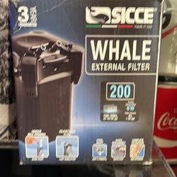 Whale 200