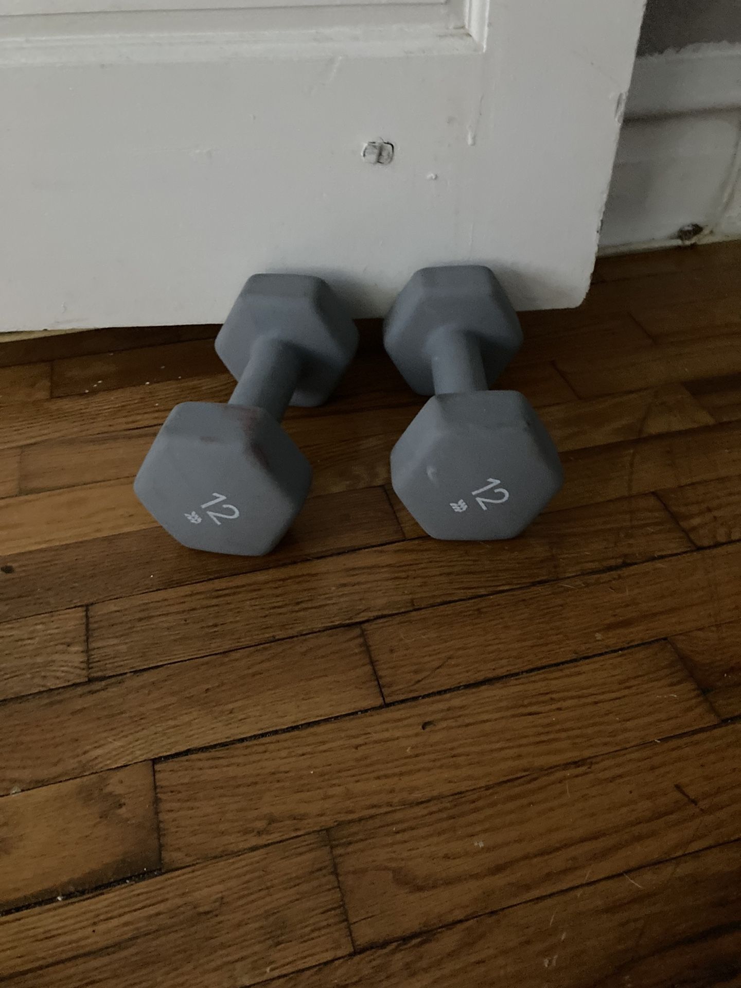 12lb Dumbbells Only $30!