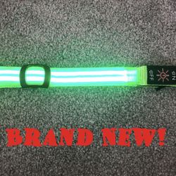 Light Up Dog Collar (Brand New)
