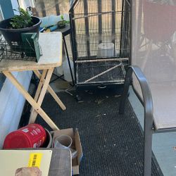 Bird Cage