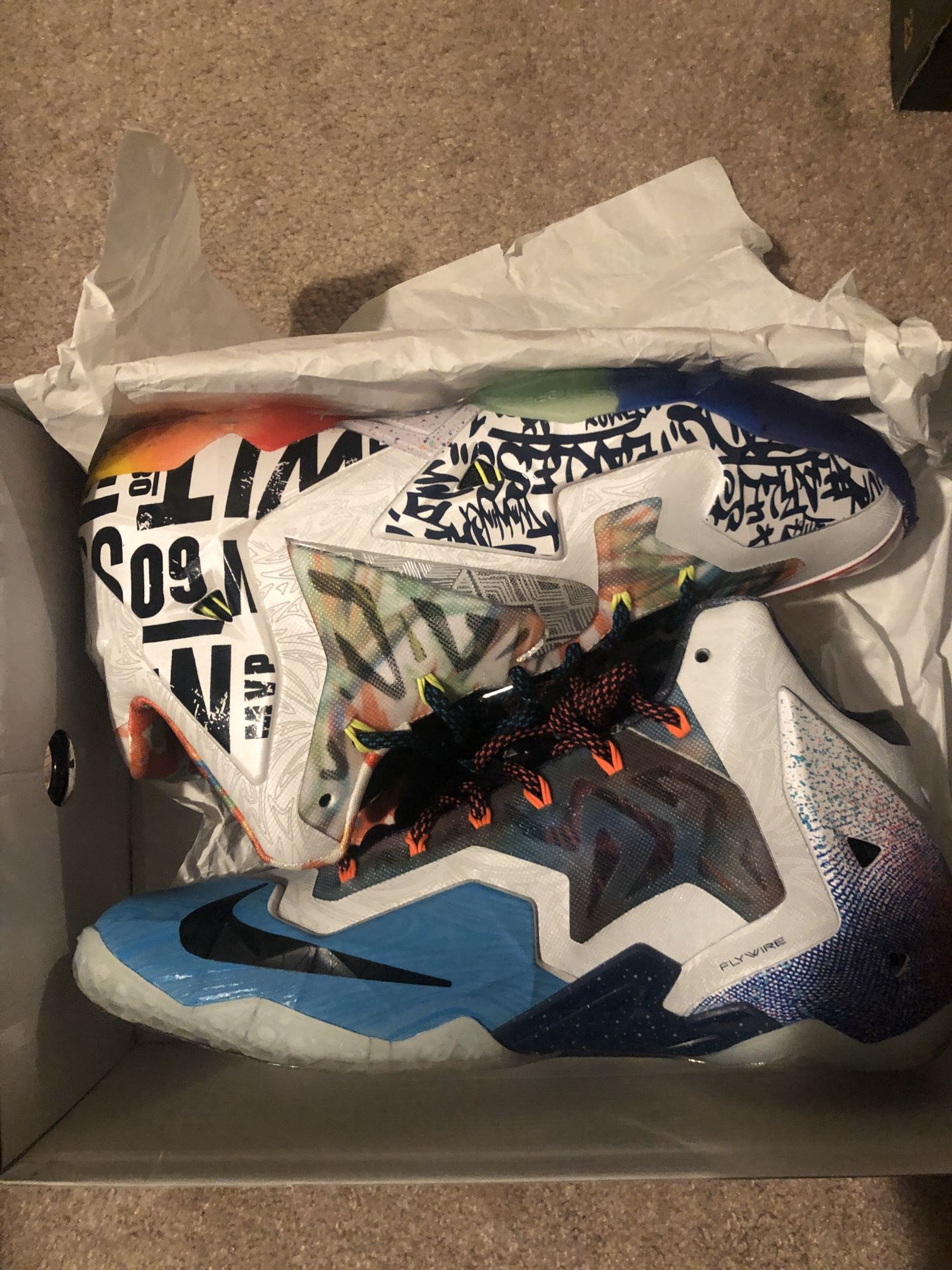 What The LeBron? vnds(ice shield) sz 9