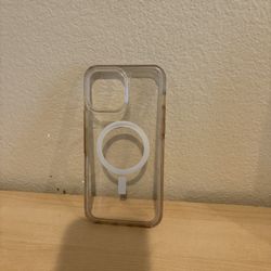 iPhone 13 Pro Max Case