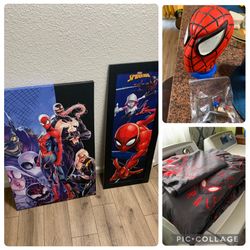 Spider Man Bed Set & Decorations 