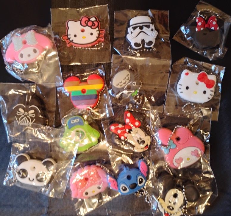 Keychains lot of 15 Mixed