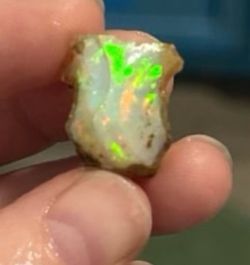 Rare dendrite opal