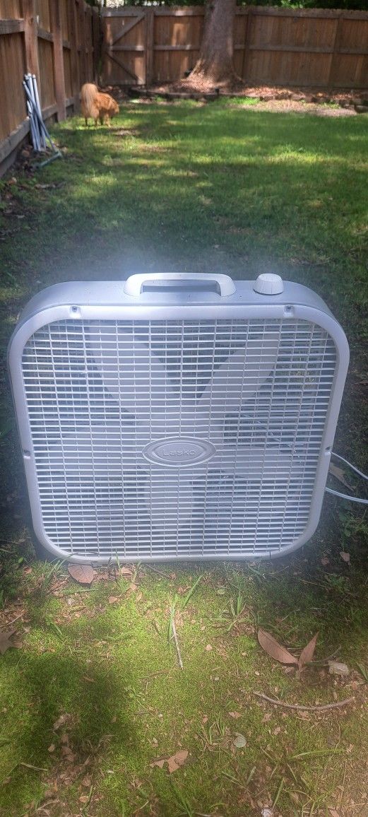 20 Inch Fan