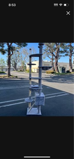 108 inches tall cat tree