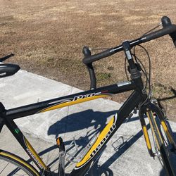Denali pro road bike 2025