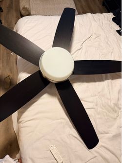 Hunter Ceiling Fan with Light