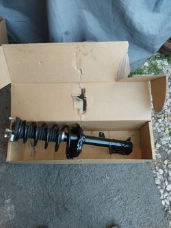 Brand New Shock Struts