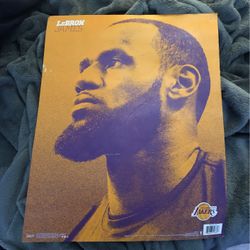 16 x 20 Lebron Poster
