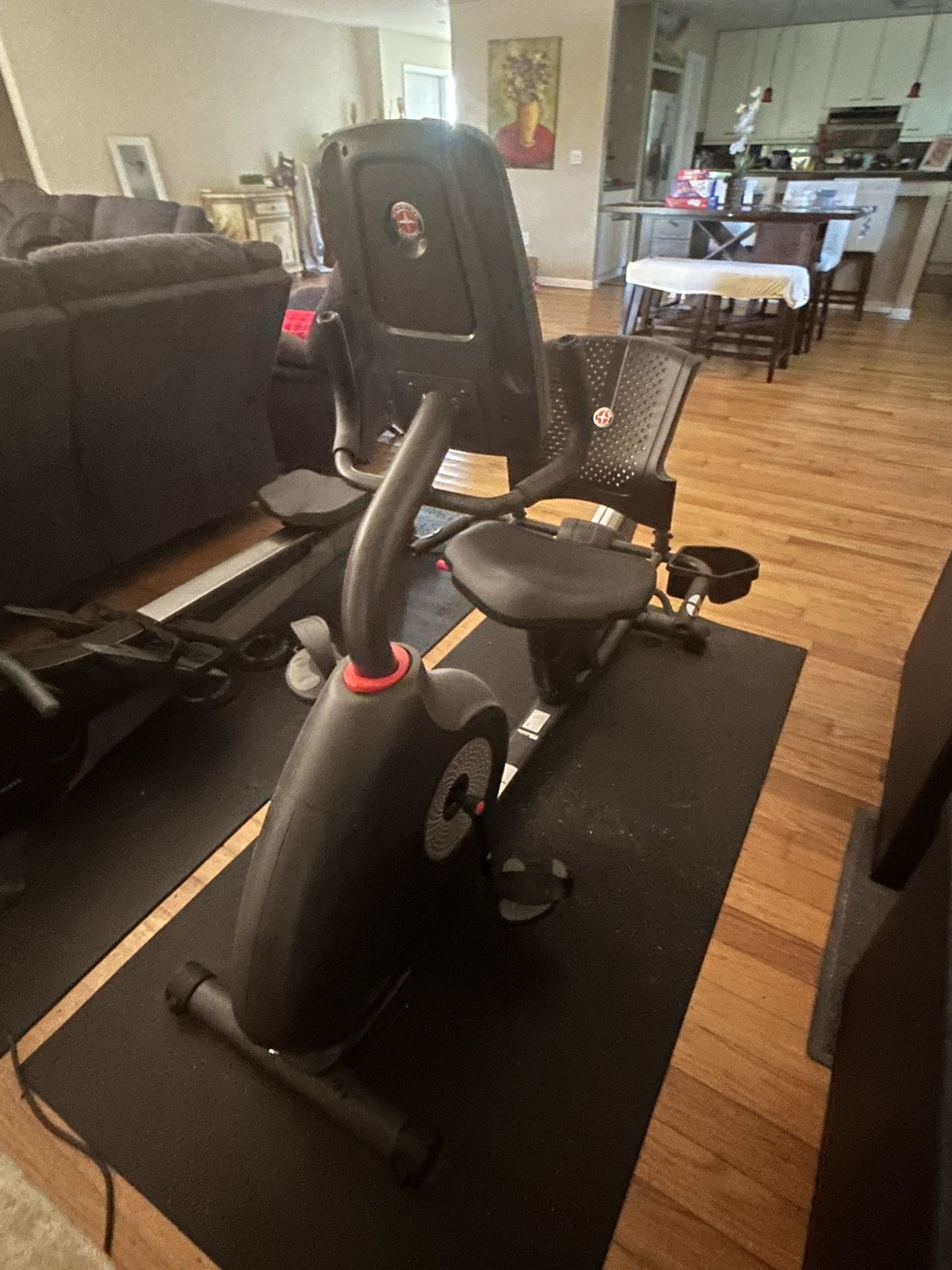 Schwinn 270 Recumbent Exercise Bike
