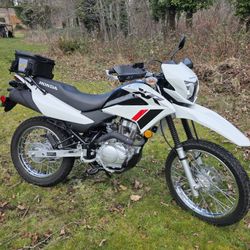 2024 XR150 L Dual Sport Motorcycle 