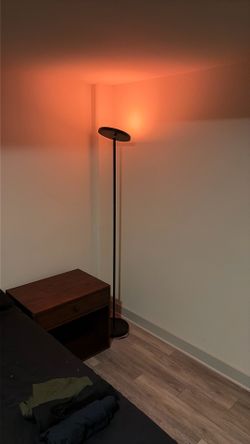 Standing govee light