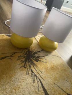 2 Beautiful End Table Lamps And Carpet