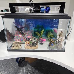 Fish Tank 20x10