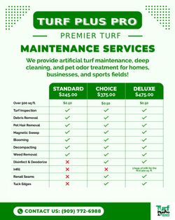 Synthetic Turf (maintenance) 