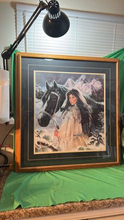 Beautiful  Framed Picture