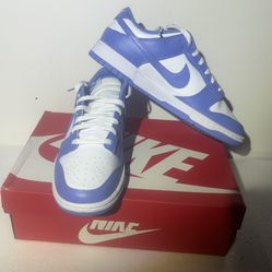 NEW In Box Men’s Nike Dunks