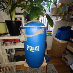 Punching Bag