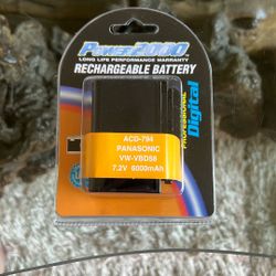 Panasonic VW-VBD58 Battery Replacement