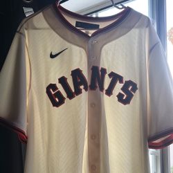 Sports jerseys Lot 