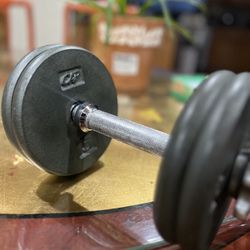 20 Pound Dumbbell 