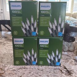 Clear Indoor/Outdoor Lights 